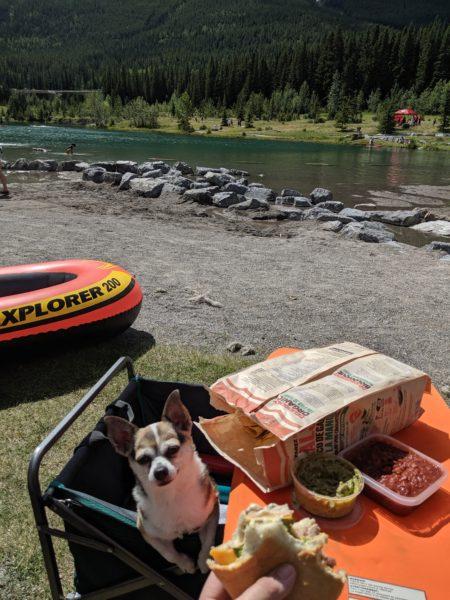 Lucky's treats » RecipeCollage.com Lucky's treats » RecipeCollage.com » October 30, 2025