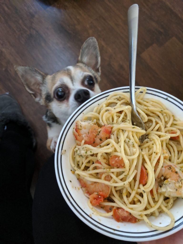 Spaghetti with pesto, shrimp & tomatoes » RecipeCollage.com » September 18, 2025