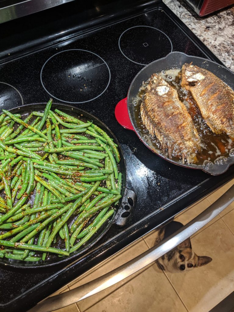 Stovetop Chicken wings & pan seared Tilapia » RecipeCollage.com » September 18, 2025