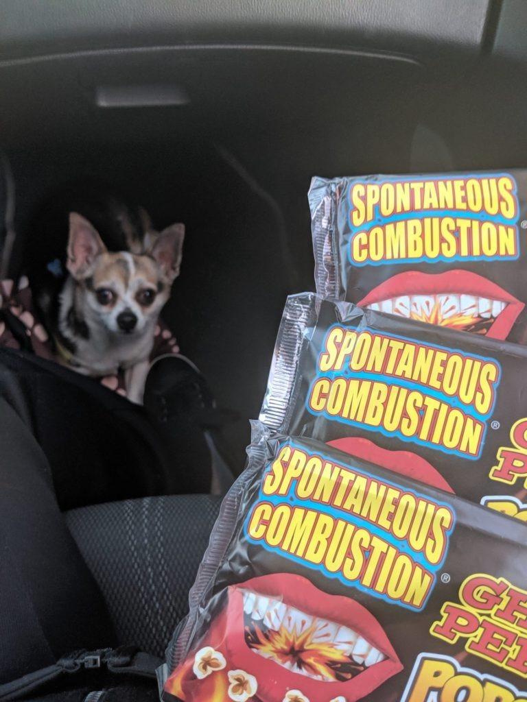Spontaneous Combustion Popcorn » RecipeCollage.com » September 15, 2025