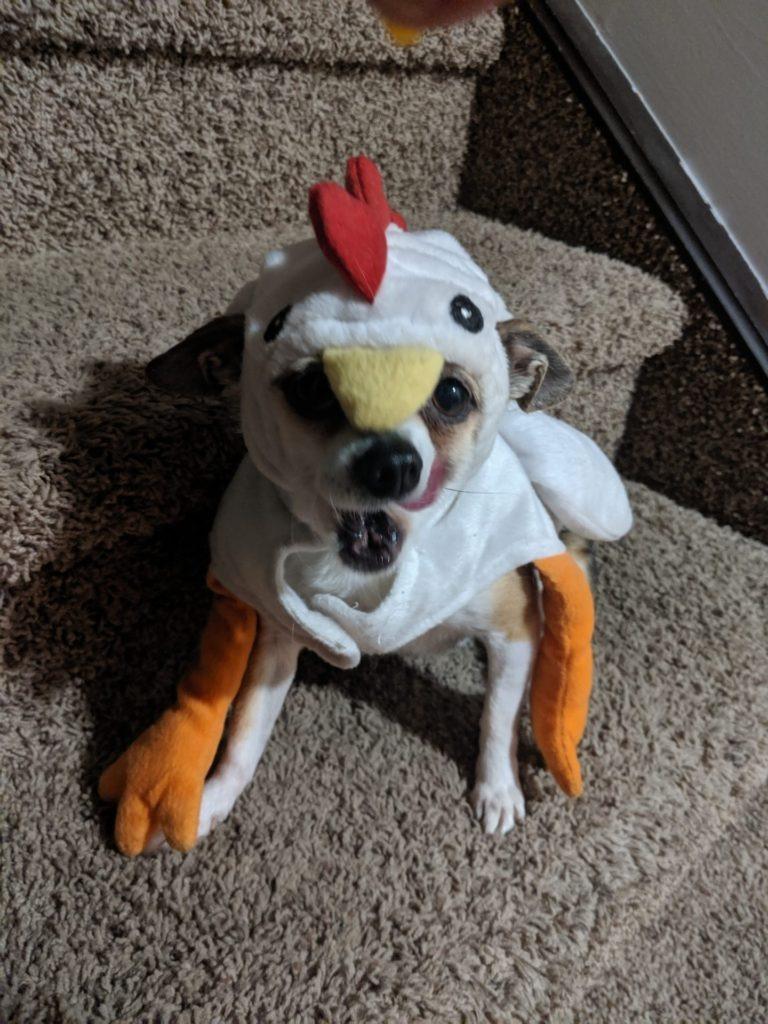 Halloween 2019 » RecipeCollage.com » October 30, 2025