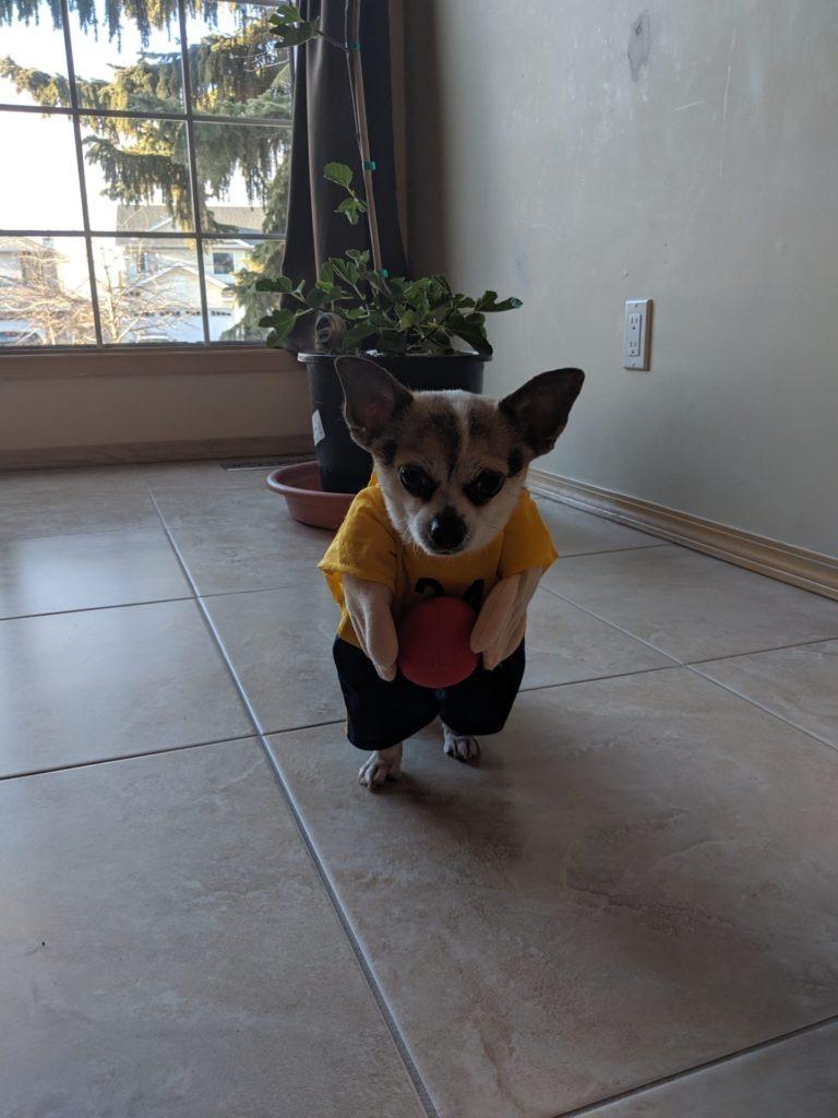 Halloween 2019 » RecipeCollage.com » October 30, 2025