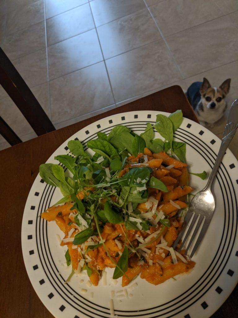 Vodka Penne with Micro Greens » RecipeCollage.com » September 17, 2025