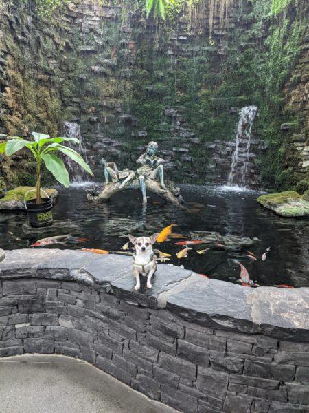 Lucky's treats » RecipeCollage.com Lucky's treats » RecipeCollage.com » October 30, 2025