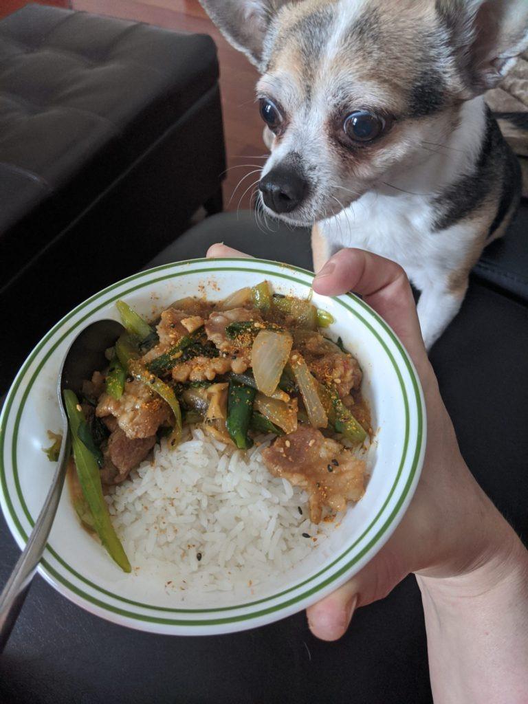 Pork Belly Stirfry » RecipeCollage.com » September 16, 2025