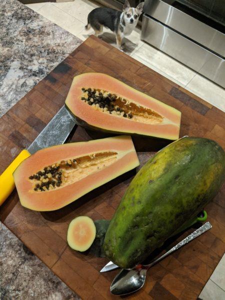 Papaya Salad » RecipeCollage.com » September 17, 2025