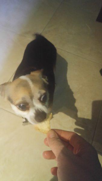 Lucky's treats » RecipeCollage.com Lucky's treats » RecipeCollage.com » October 30, 2025