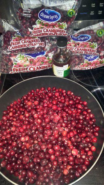 Dehydrated Cran Raisins » RecipeCollage.com » September 15, 2025