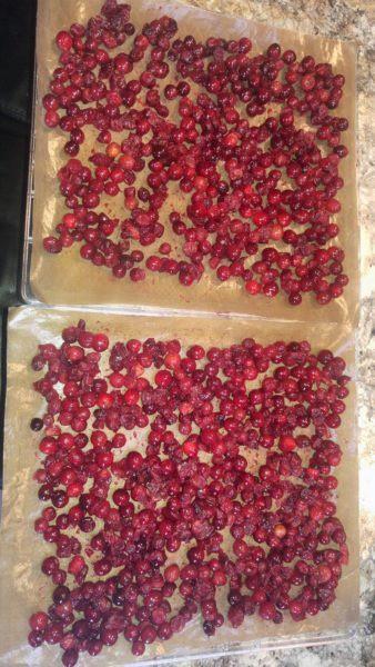 Dehydrated Cran Raisins » RecipeCollage.com » September 15, 2025