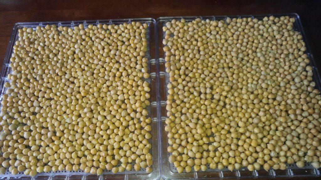 Dehydrated Chick Peas » RecipeCollage.com » September 15, 2025