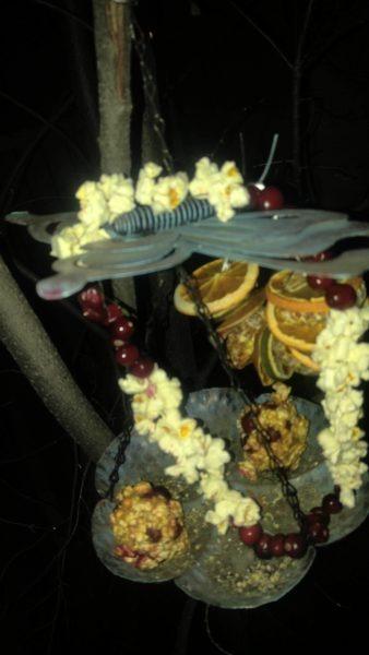 We love feeding the Birds around our house! » RecipeCollage.com » September 16, 2025