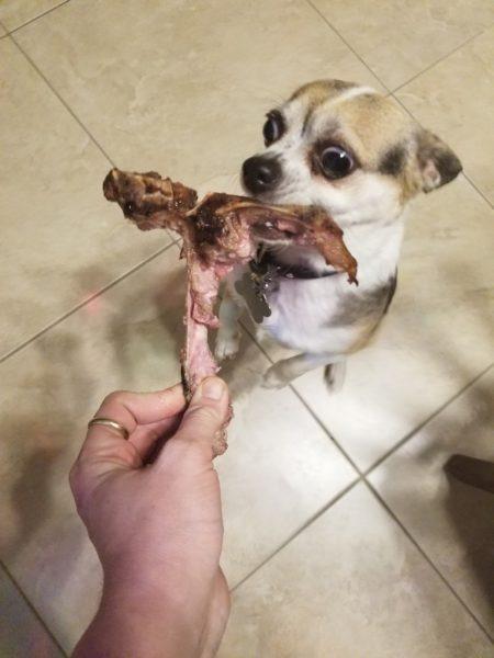 Lucky's treats » RecipeCollage.com Lucky's treats » RecipeCollage.com » October 30, 2025