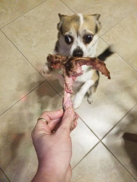 Lucky's treats » RecipeCollage.com Lucky's treats » RecipeCollage.com » October 30, 2025