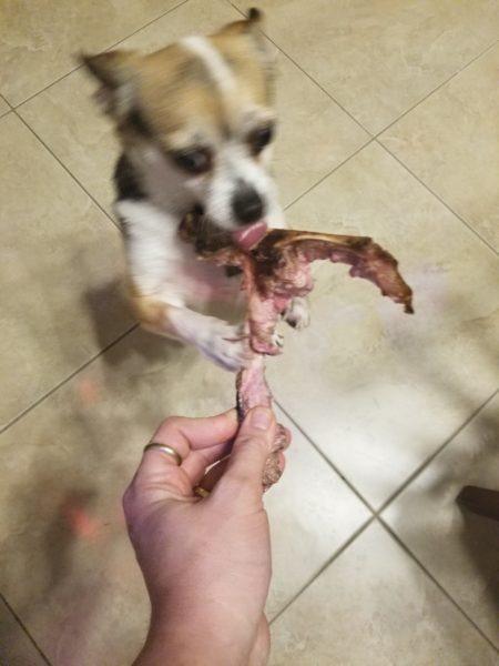 Lucky's treats » RecipeCollage.com Lucky's treats » RecipeCollage.com » October 30, 2025