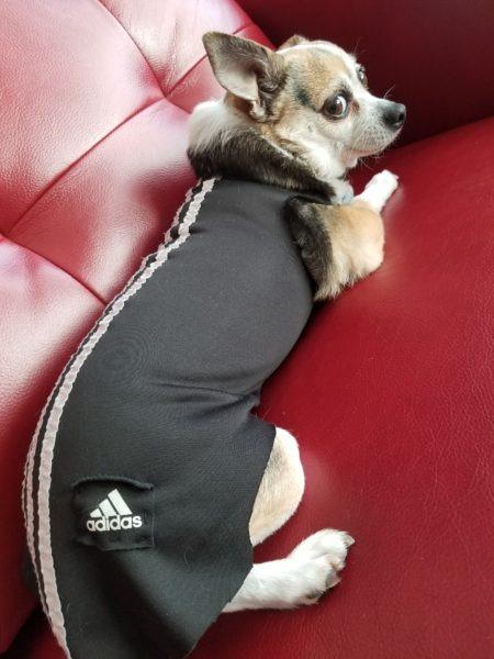 Lucky's treats » RecipeCollage.com Lucky's treats » RecipeCollage.com » October 30, 2025