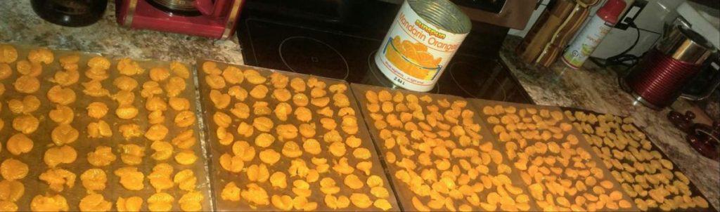 Dehydrated Mandarins » RecipeCollage.com » October 30, 2025