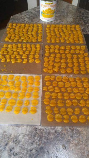 Dehydrated Mandarins » RecipeCollage.com » October 30, 2025