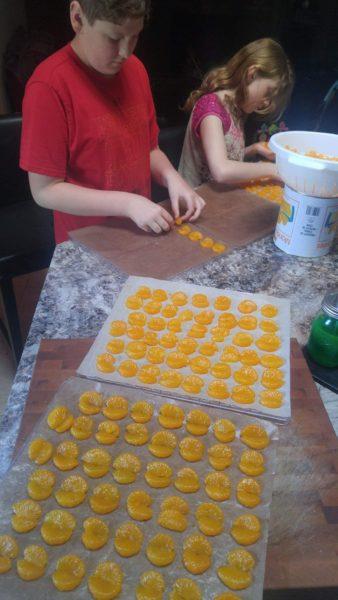 Dehydrated Mandarins » RecipeCollage.com » October 30, 2025