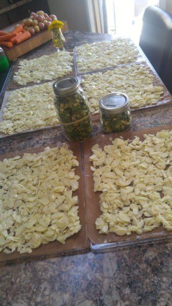 Dehydrated Garlic » RecipeCollage.com » October 30, 2025