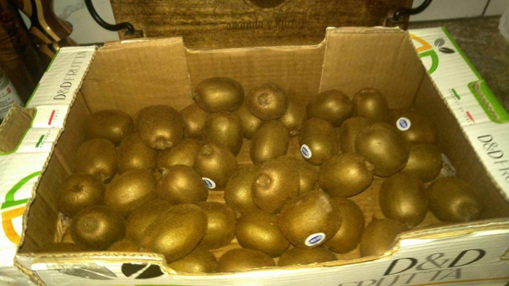 Dehydrated Kiwi » RecipeCollage.com » October 30, 2025