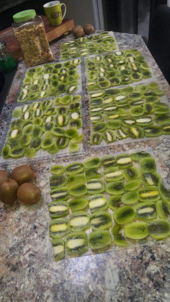 Dehydrated Kiwi » RecipeCollage.com » October 30, 2025