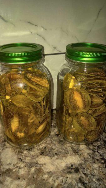 Dehydrated Kiwi » RecipeCollage.com » October 30, 2025