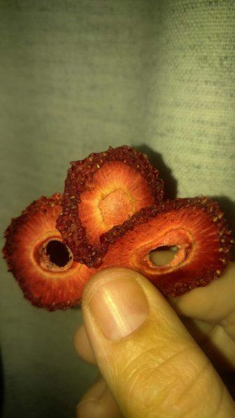 Dehydrated Strawberries » RecipeCollage.com » October 27, 2025