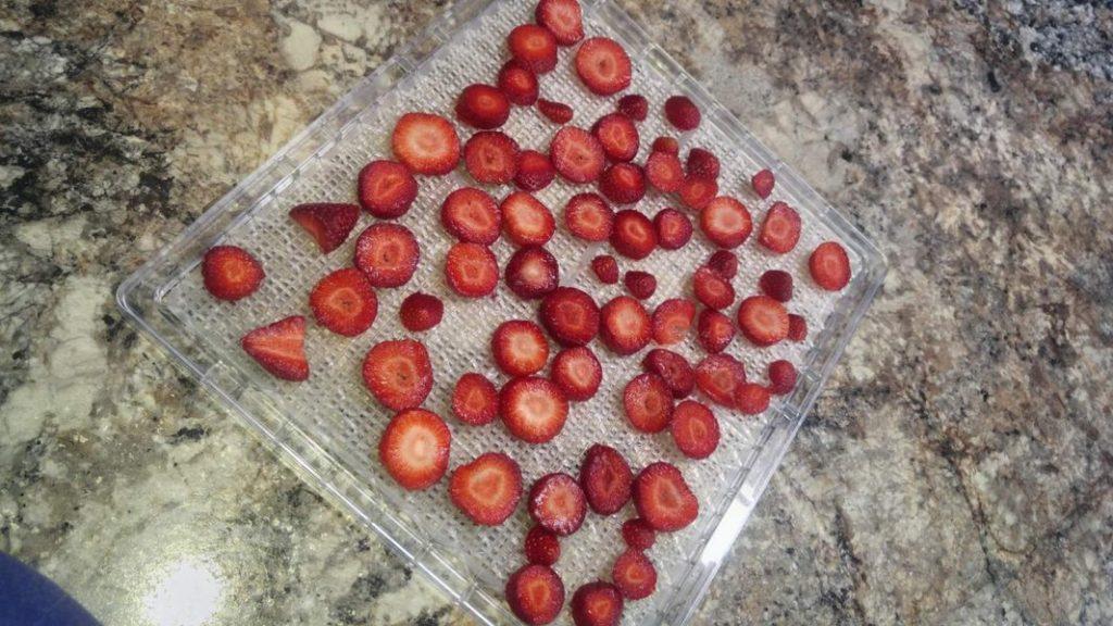 Dehydrated Strawberries » RecipeCollage.com » October 27, 2025