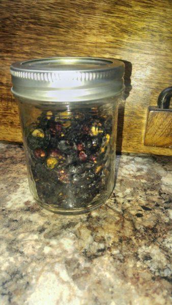 Dehydrated Grapes & Blueberries » RecipeCollage.com » October 27, 2025