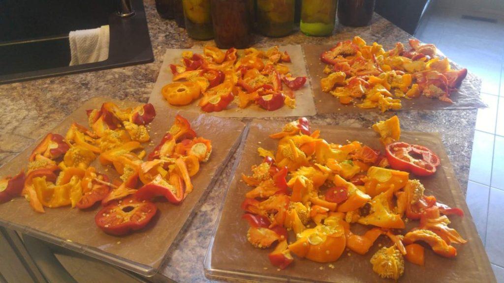Pepper Powder » RecipeCollage.com » September 18, 2025