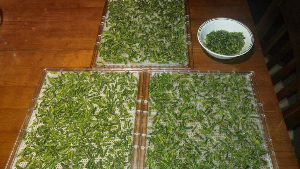 Dehydrated Green Beans » RecipeCollage.com » October 30, 2025