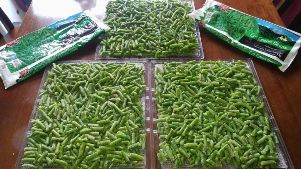 Dehydrated Green Beans » RecipeCollage.com » October 30, 2025