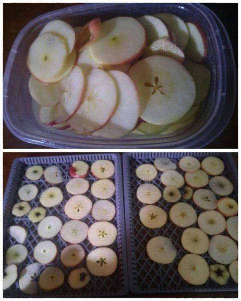 Dehydrated Apple juice Apples » RecipeCollage.com » October 30, 2025