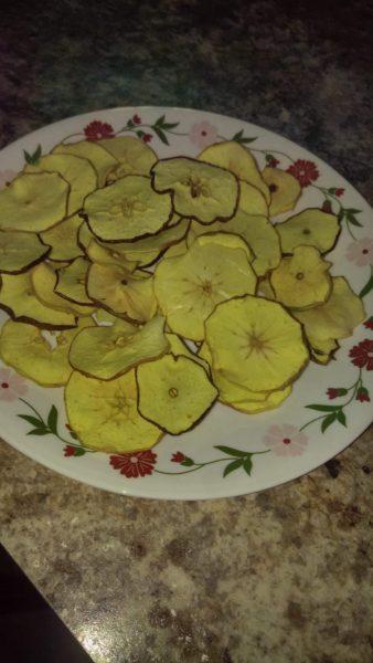 Dehydrated Apple juice Apples » RecipeCollage.com » October 30, 2025