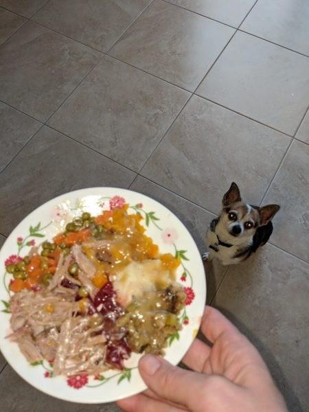 Lucky's treats » RecipeCollage.com Lucky's treats » RecipeCollage.com » October 30, 2025