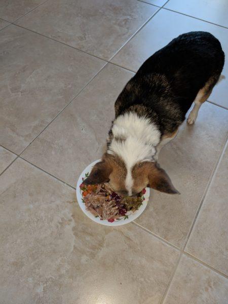 Lucky's treats » RecipeCollage.com Lucky's treats » RecipeCollage.com » October 30, 2025