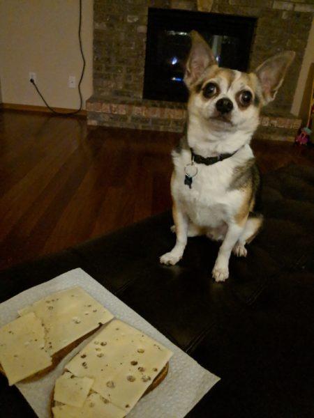 Lucky's treats » RecipeCollage.com Lucky's treats » RecipeCollage.com » October 30, 2025