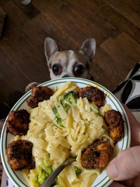 Lucky's treats » RecipeCollage.com Lucky's treats » RecipeCollage.com » October 30, 2025