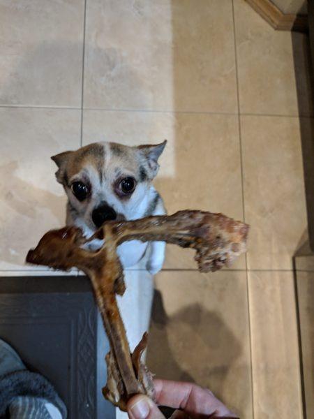 Lucky's treats » RecipeCollage.com Lucky's treats » RecipeCollage.com » October 30, 2025