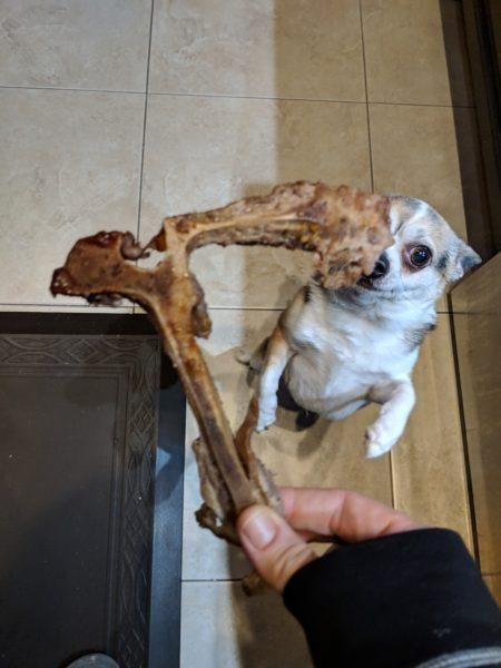 Lucky's treats » RecipeCollage.com Lucky's treats » RecipeCollage.com » October 30, 2025