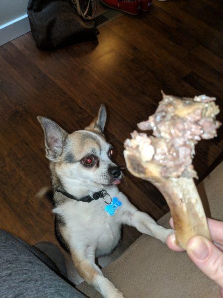 Lucky's treats » RecipeCollage.com Lucky's treats » RecipeCollage.com » October 30, 2025