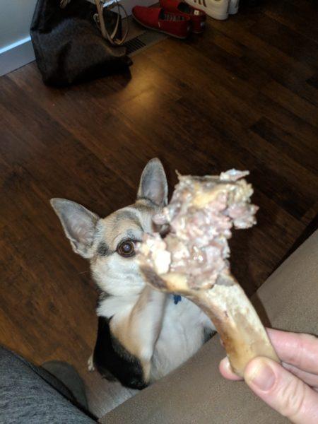 Lucky's treats » RecipeCollage.com Lucky's treats » RecipeCollage.com » October 30, 2025