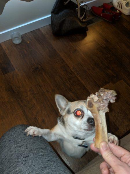 Lucky's treats » RecipeCollage.com Lucky's treats » RecipeCollage.com » October 30, 2025