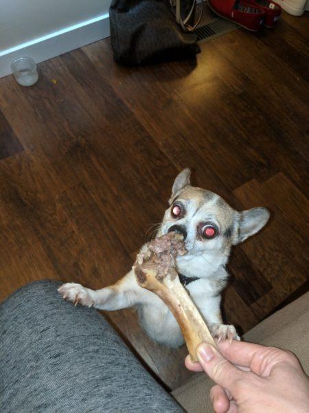 Lucky's treats » RecipeCollage.com Lucky's treats » RecipeCollage.com » October 30, 2025