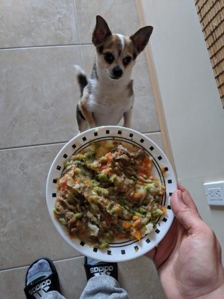 Lucky's treats » RecipeCollage.com Lucky's treats » RecipeCollage.com » October 30, 2025