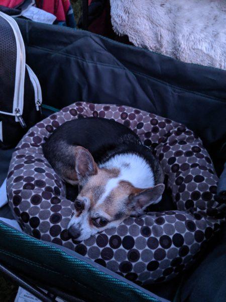 Movie in the Parks & » RecipeCollage.com » October 30, 2025