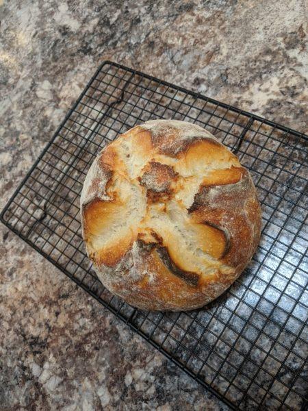 Sourdough Loaf » RecipeCollage.com » September 15, 2025