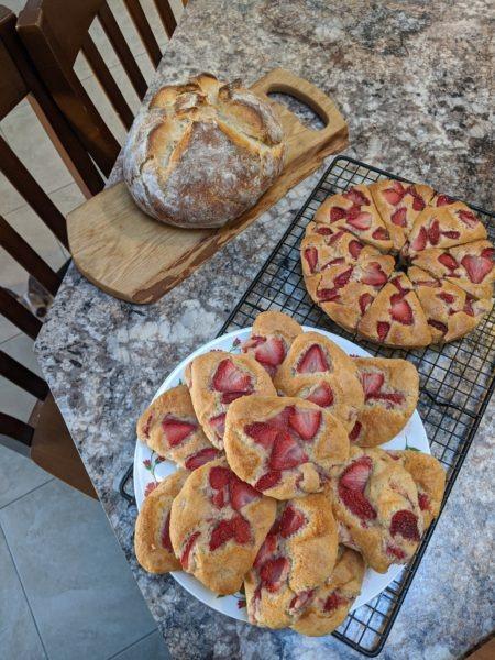 Strawberry Muffins » RecipeCollage.com » September 15, 2025