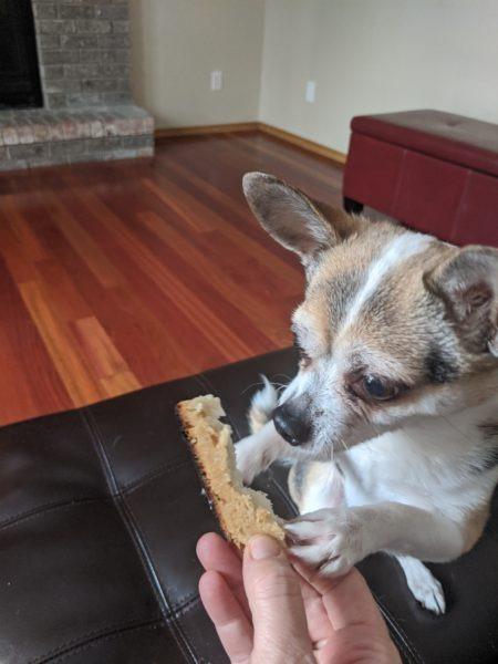 lucky enjoys Sourdough bread