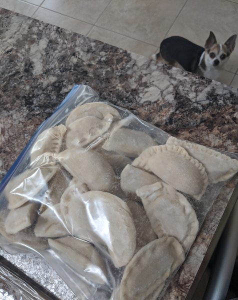 Ham and Cheese Perogies » RecipeCollage.com » September 15, 2025